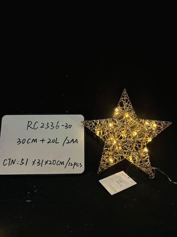 Newest design Christmas Star Decoration