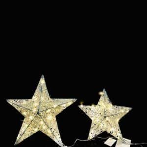 Wholesale Christmas Star Lights with LED Lights